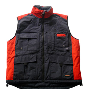  Vest ( Vest)