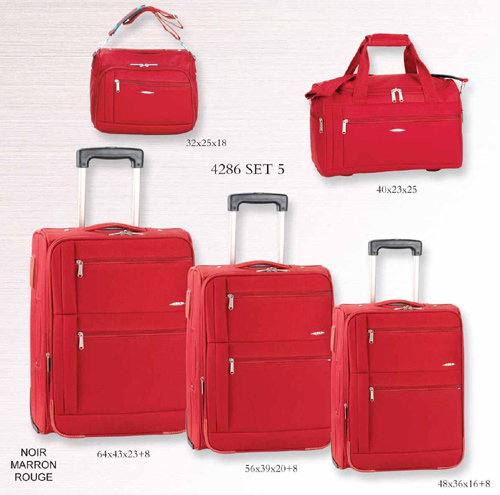  600D Polyester Luggage (Polyester 600D Consigne)