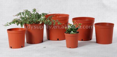  Flower Pots ( Flower Pots)