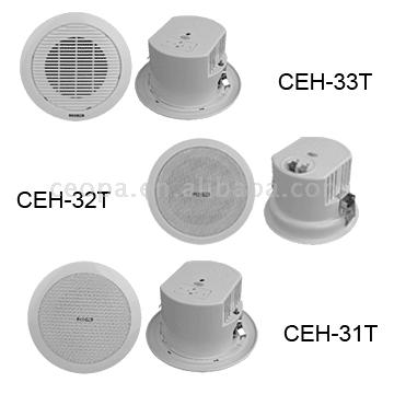  Ceiling Speaker (Потолочные спикера)