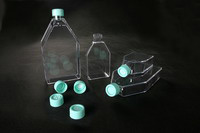  Tissue Culture Flasks ( Tissue Culture Flasks)