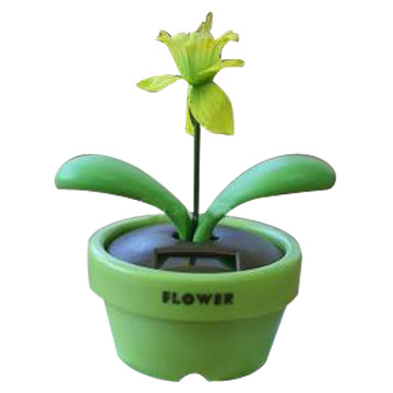  Solar Swing Flower ( Solar Swing Flower)