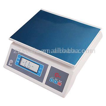  Electronic Scale