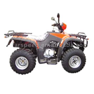  250cc Shaft Drive ATV with EEC for 2 Riders ( 250cc Shaft Drive ATV with EEC for 2 Riders)