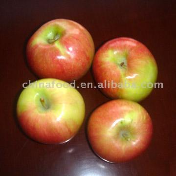  Red Honey Apple (Red Apple Honey)