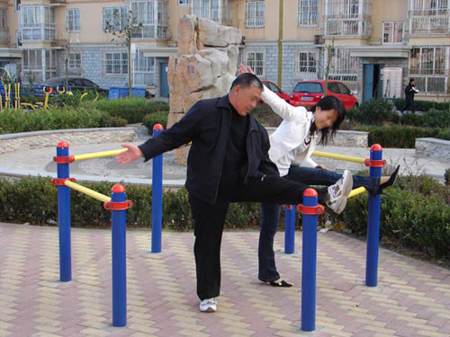  Outdoor Gym Equipment (Outdoor Gym Equipment)