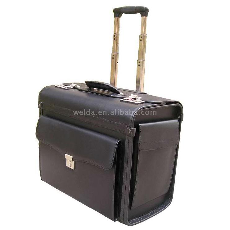  Pilot Case ( Pilot Case)
