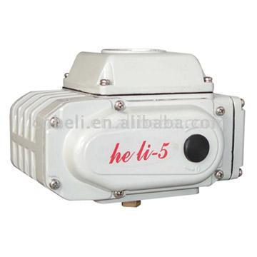  Electric Actuator ( Electric Actuator)
