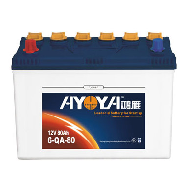  Dry Charged Lead Acid Battery (Dry Charged Blei-Säure-Batterie)