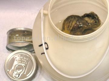 Akoya-Perle Austern (Wish Pearl Oyster in Can) (Akoya-Perle Austern (Wish Pearl Oyster in Can))