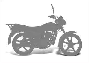  CNG Motorcycle