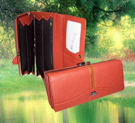  Women`s Wallets ()