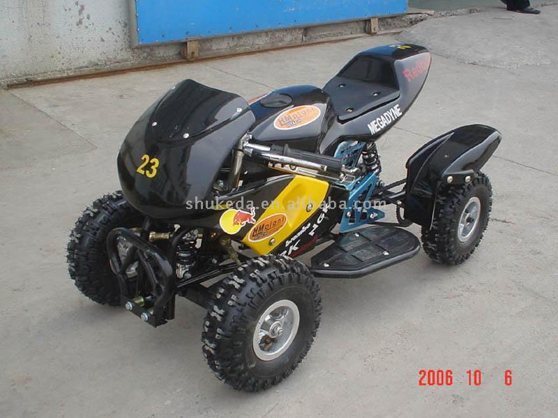  Mini QUAD ( Mini QUAD)