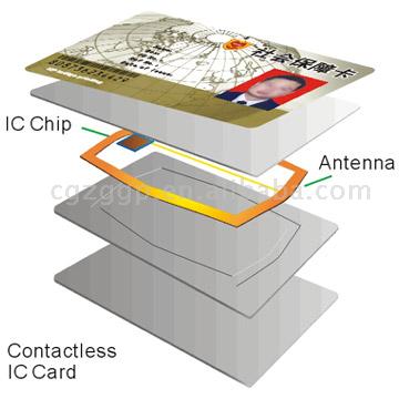  Portrait IC/ID Card (Портрет IC / ID-картой)