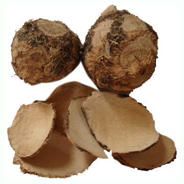  Rhizoma Sparganii ( Rhizoma Sparganii)