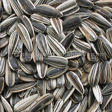  Sunflower Seeds (Graines de tournesol)