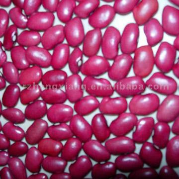  Kidney Beans (Haricots)