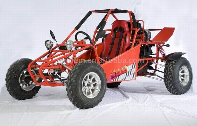  250cc Single-Seat Water-Cooled CVT-Shaft-Drive Go Kart ( 250cc Single-Seat Water-Cooled CVT-Shaft-Drive Go Kart)