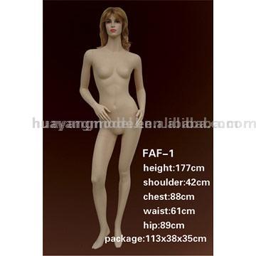  Mannequin (Mannequin)
