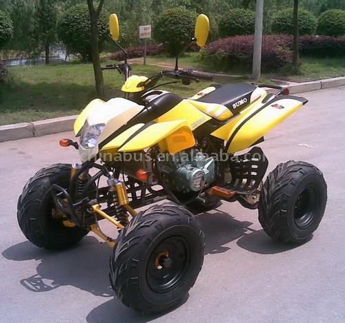  110cc - 200cc ATV (EEC) (110cc - 200cc ATV (CEE))