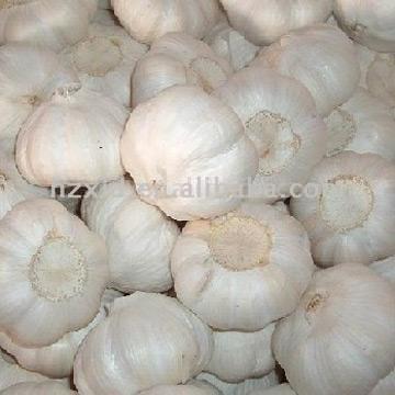  Pure White Garlic