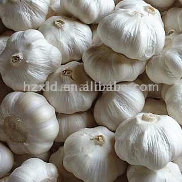  Pure White Garlic (Чистый белый чеснок)