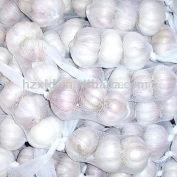  Fresh Preserved Garlic