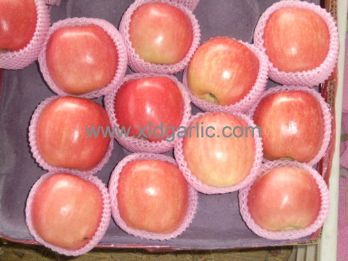  Fuji Apple (Fuji Apple)