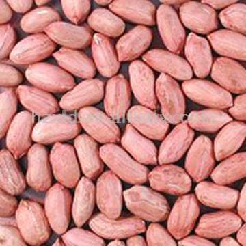  Peanut Kernel (Peanut Kernel)