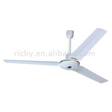  Ceiling Fan