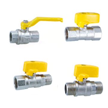  Gas Valve ( Gas Valve)