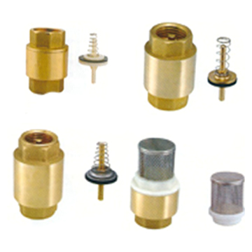  Check Valves ( Check Valves)