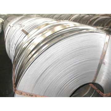 Hot Dipped Galvanized Steel Strips (Feuerverzinkt Stahl-Streifen)