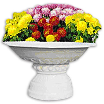 Resin Planter / Flower Pot (Resin Planter / Flower Pot)