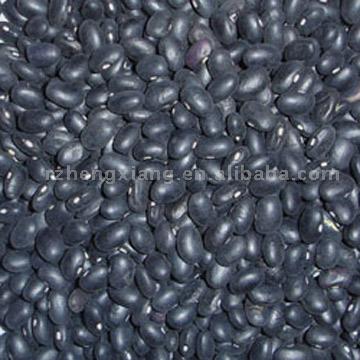 Small Black Kidney Bohnen (Small Black Kidney Bohnen)