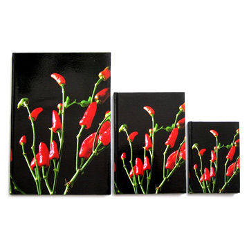  Hard Cover Notebook by Sewing (Hard Cover Notebook par couture)