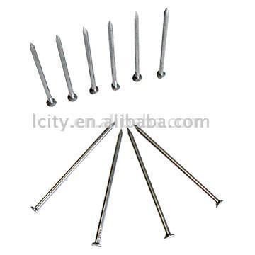  Common Nail ( Common Nail)