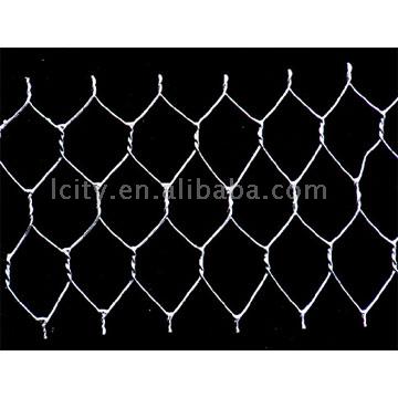  Hexagonal Iron Wire Netting ( Hexagonal Iron Wire Netting)