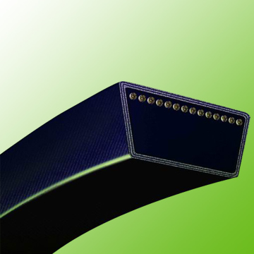 Agrar-V-Belt (Agrar-V-Belt)