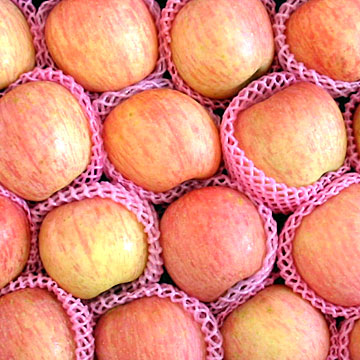  Fuji Apples (Pommes Fuji)