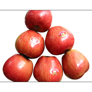  Red Star Apples (Red Star Äpfel)