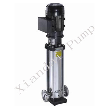  Single Phase Water Pump (Monophasé Pompe à eau)