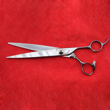  Special Hair Scissors ( Special Hair Scissors)