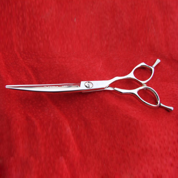  Special Hair Scissors ( Special Hair Scissors)