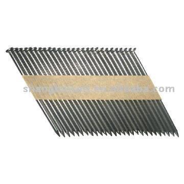  D Head Paper Nail ( D Head Paper Nail)