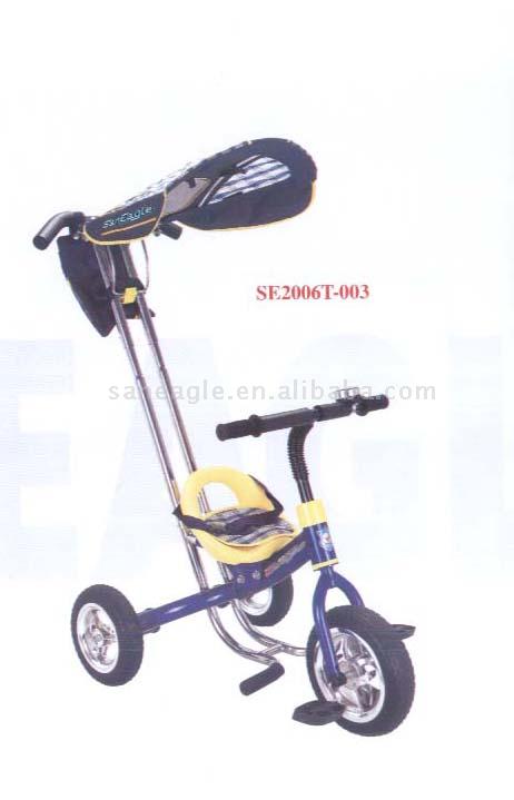  Canopy Trike