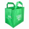  Shopping Bag (Shopping Bag)