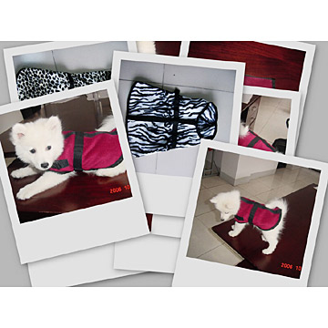  Pet Apparel (Pet Apparel)