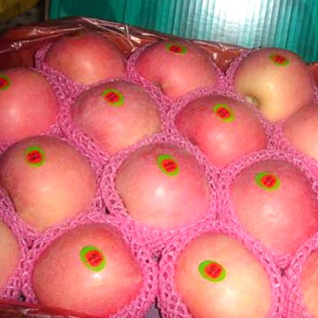  Bagged Fuji Apple (Мешках Fuji Apple)