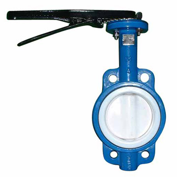  PTFE Butterfly Valve (PTFE Butterfly Valve)